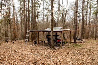 Nestled in the rolling hills of Warren County, Mississippi, this - photo 40