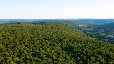Rare opportunity to own a large, former Scout Camp with a 60+/- - photo 41