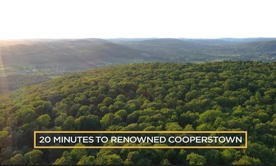 Rare opportunity to own a large, former Scout Camp with a 60+/- - photo 42