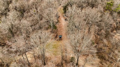 Nestled in the rolling hills of Warren County, Mississippi, this - photo 47