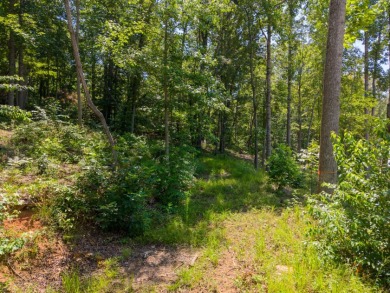 Lake Lot For Sale in Seneca, South Carolina