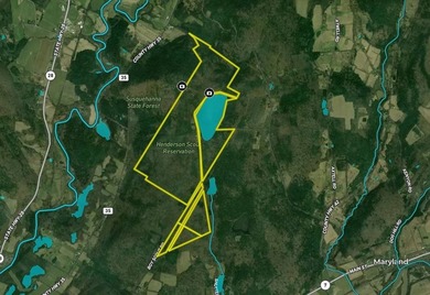 Rare opportunity to own a large, former Scout Camp with a 60+/- - photo 48