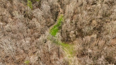 Nestled in the rolling hills of Warren County, Mississippi, this - photo 49