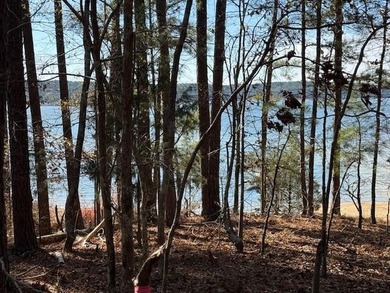 Strom Thurmond / Clarks Hill Lake Lot For Sale in Mccormick South Carolina
