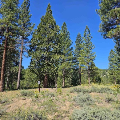 Lake Davis Lot For Sale in Portola California