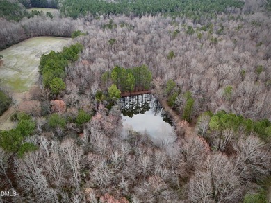 Rare building lot with it's OWN DEDICATED POND! This is Lot 7 of - photo 3
