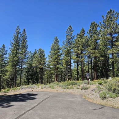 Lake Davis Lot For Sale in Portola California