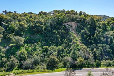 Almost 2-acre lot near the end of Sunny Oaks Drive with privacy - photo 4