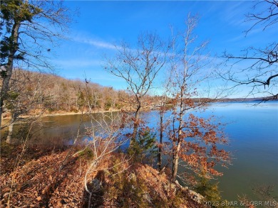 Lake of the Ozarks Acreage For Sale in Climax  Springs Missouri