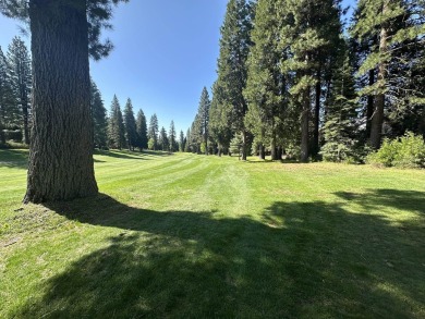 Lake Lot For Sale in Lake Almanor, California