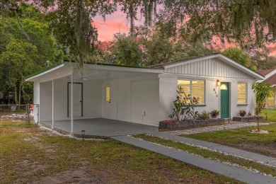 Lake Home Sale Pending in Lakeland, Florida