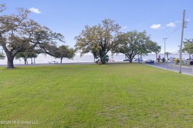3 Vacant Lots to be sold together. Equals Approximately 1 acre - photo 4