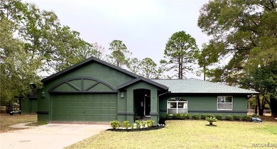 Bonable Lake Home Sale Pending in Dunnellon Florida