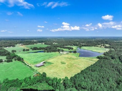 Lake Home For Sale in Daingerfield, Texas