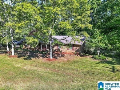 This beautiful 4 bedroom, 2 bath home sits on 1 +/- Acre - photo 6