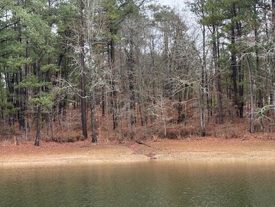 Strom Thurmond / Clarks Hill Lake Lot Sale Pending in Mccormick South Carolina