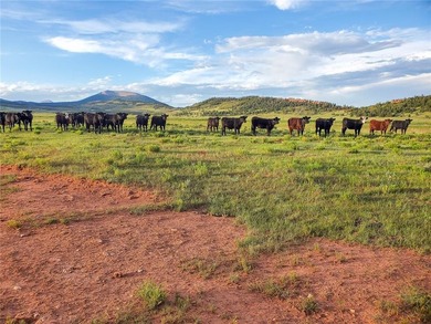Welcome to Silverheels Ranch, named after Mount Silverheels - photo 3