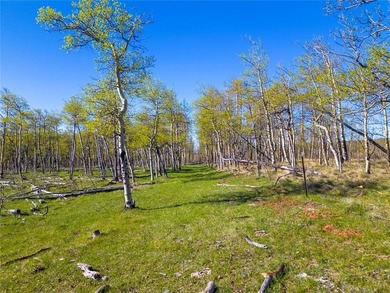 Welcome to Silverheels Ranch, named after Mount Silverheels - photo 10