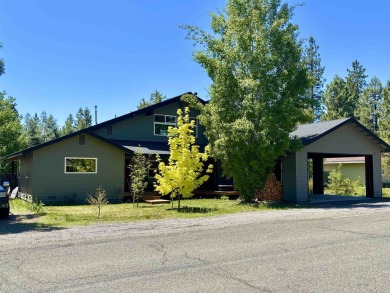 Lake Home For Sale in Chester, California