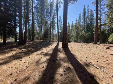 (private lake, pond, creek) Lot For Sale in Clio California