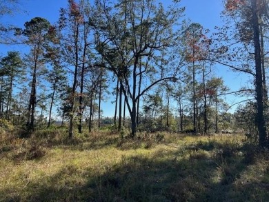 Lake Lot For Sale in Brunswick, Georgia