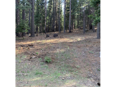 Lake Lot For Sale in Chester, California