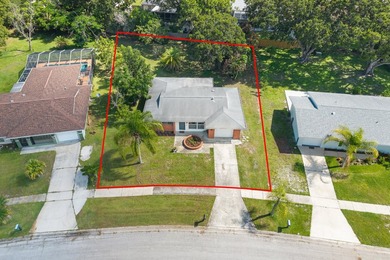 Modernized, Move-In Ready Gem on a Huge Quarter-Acre Lot! - photo 18
