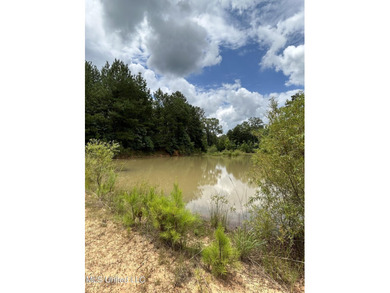 Looking for land to build that new home! Mobile homes are also - photo 6