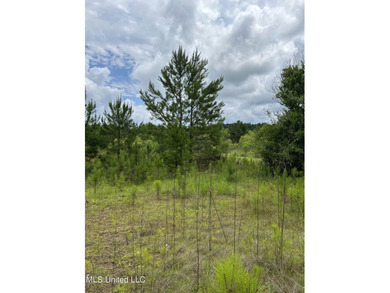 Looking for land to build that new home! Mobile homes are also - photo 9