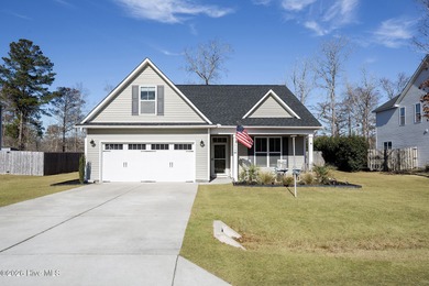 (private lake, pond, coastal) Home For Sale in Rocky Point North Carolina