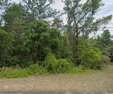 Lake Spivey Lot For Sale in Inverness Florida