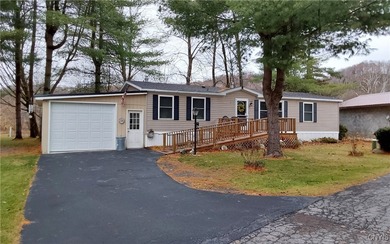 (private lake, pond, creek) Home For Sale in Poland New York