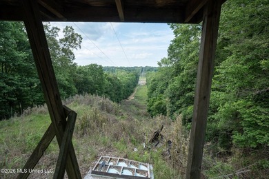 Whitetail Deer and Turnkey hunting, fishing, and timber - photo 6