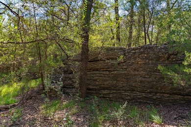 Turtle Hill Ranch on the Colorado is a 1,480+/- acre live water - photo 18