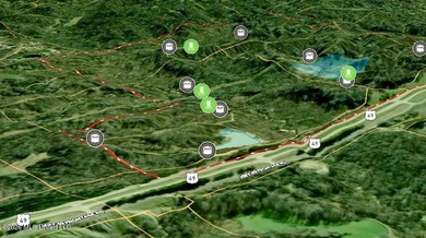 Whitetail Deer and Turnkey hunting, fishing, and timber - photo 10