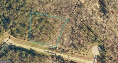 Lake Lot For Sale in Barnesville, Georgia