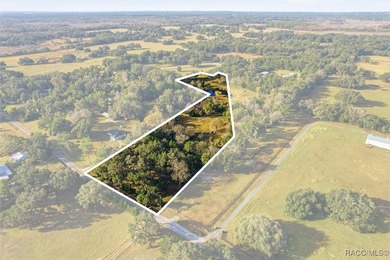 Tsala Apopka Chain of Lakes Acreage For Sale in Floral City Florida