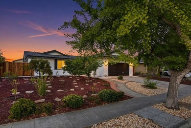 Foothill Views, Hiking Trail Access & Major Renovations in - photo 1