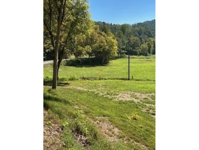 (private lake, pond, creek) Acreage For Sale in Vonore Tennessee