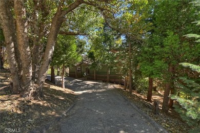Escape to the serenity of Skyland Drive - where nature, comfort - photo 6
