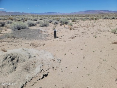 This 4.96-acre lot is conveniently located near Lake Lahontan - photo 5