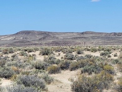 This 4.96-acre lot is conveniently located near Lake Lahontan - photo 7