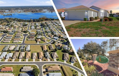 (private lake, pond, creek) Home For Sale in Hernando Florida