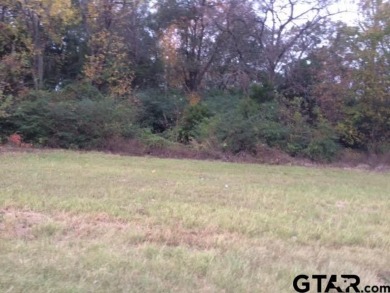 NEARLY ALL TREES BUT HAS 300 FT OF FRONTAGE ON THE LOOP AND - Lake Lot For Sale in Mineola, Texas