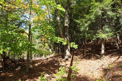 The perfect place to build your Adirondack dream home or camp - photo 11