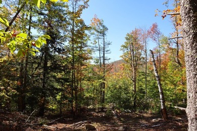 The perfect place to build your Adirondack dream home or camp - photo 12