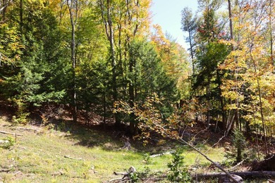 The perfect place to build your Adirondack dream home or camp - photo 13