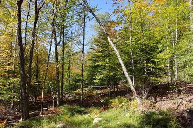 The perfect place to build your Adirondack dream home or camp - photo 14