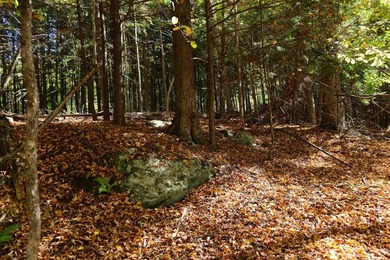 The perfect place to build your Adirondack dream home or camp - photo 16