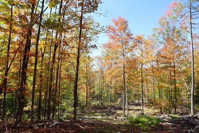 The perfect place to build your Adirondack dream home or camp - photo 19